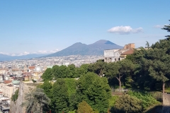 WhatsApp-Image-2019-05-16-at-22.38.21