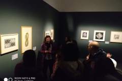 WhatsApp Image 201b9-02-25 at 15.43.45