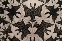 WhatsApp Imagenn 2019-02-25 at 15.43.45